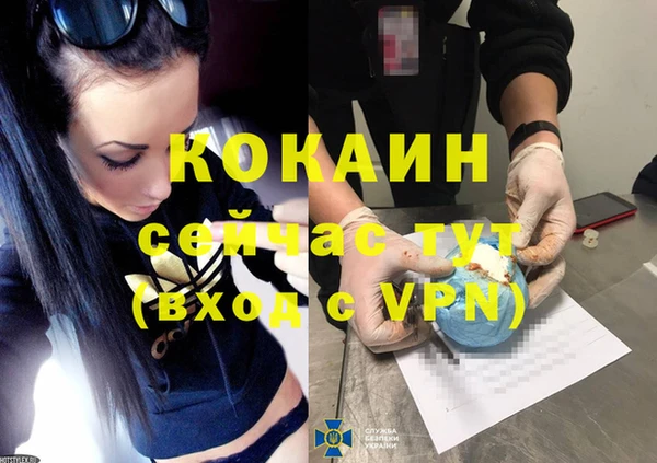 прущие грибы Кодинск