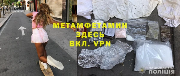 прущие грибы Кодинск