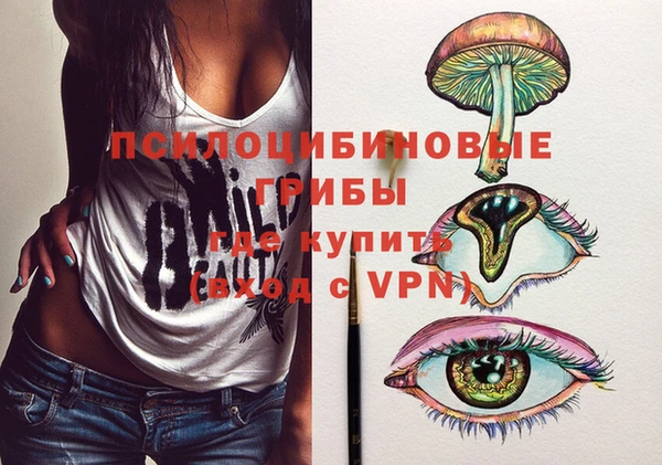 амфетамин Козловка