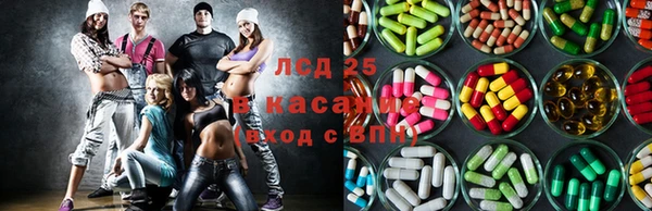 прущие грибы Кодинск