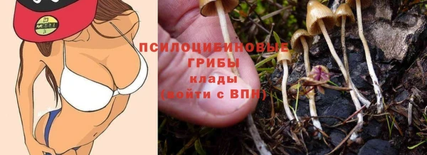 прущие грибы Кодинск