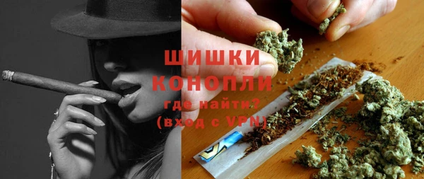 прущие грибы Кодинск